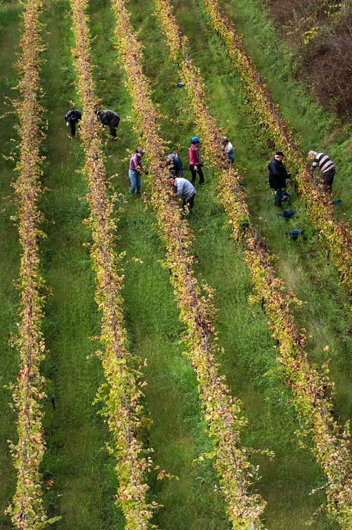 Wine Resort Villagrande Milo Kültér fotó