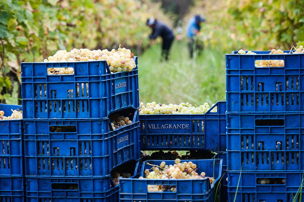 Wine Resort Villagrande Milo Kültér fotó