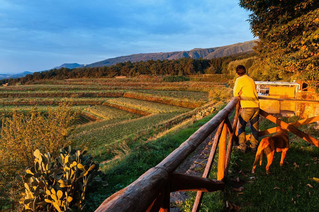 Wine Resort Villagrande Milo Kültér fotó